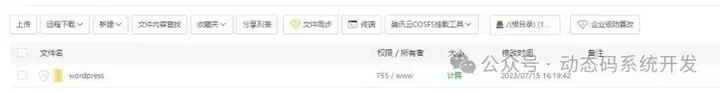 网站服务器和域名是什么（一篇文章教会你网站搭建）